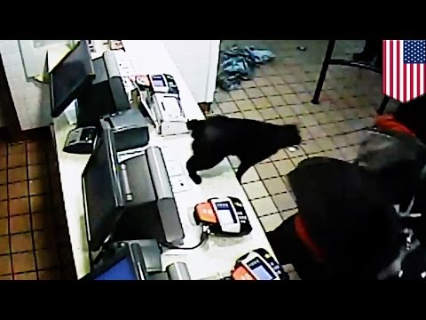 Youtube: McDonalds fight video with weaponized cat and pepper spray is epic, hilarious and sad