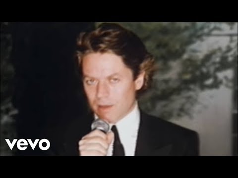 Youtube: Robert Palmer - I Didn't Mean To Turn You On (Official Video)