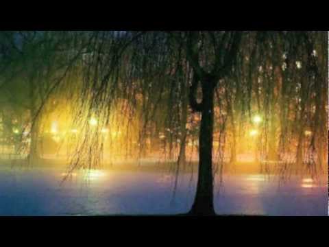 Youtube: Sleepsong ~ Lullaby from a Secret Garden