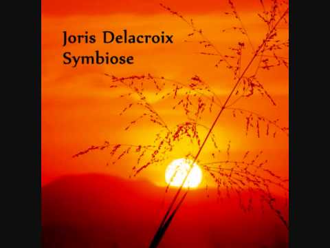 Youtube: Joris Delacroix- Symbiose (Original Mix)