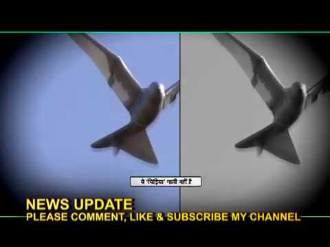 Youtube: CHINA BIRD DRONE