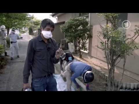 Youtube: Ranga Yogeshwar in Fukushima (ARD, 03.11.2014, 22:45)