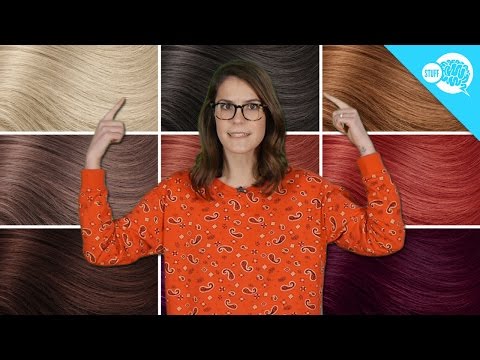 Youtube: What Determines Your Hair Color?