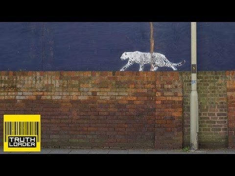 Youtube: Leopards in the UK? Truthloader goes big cat hunting