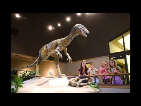 Youtube: Dinosaurier gab es nie