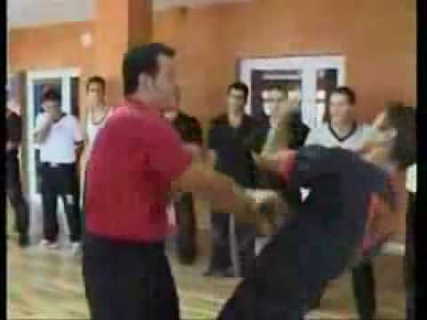 Youtube: The best wing tsun compilation on youtube_xvid.avi