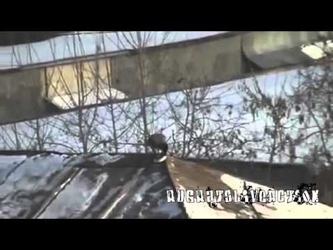 Youtube: Sledding Crow In Russia