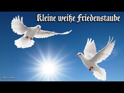 Youtube: Kleine weiße Friedenstaube [GDR song][+English translation]