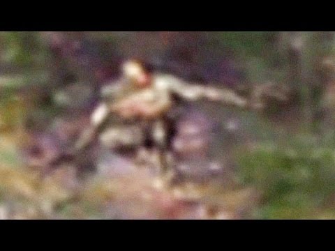 Youtube: Strange Creature In The Forests Of Oregon, USA