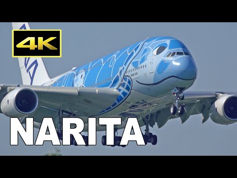 Youtube: [4K] 99 Big Jets Plane Spotting at Tokyo Narita Airport 2019 / 成田空港 ANA JAL