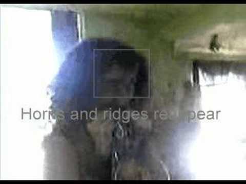 Youtube: Reptile Woman  - UFO Reptilian / Demon Morphing