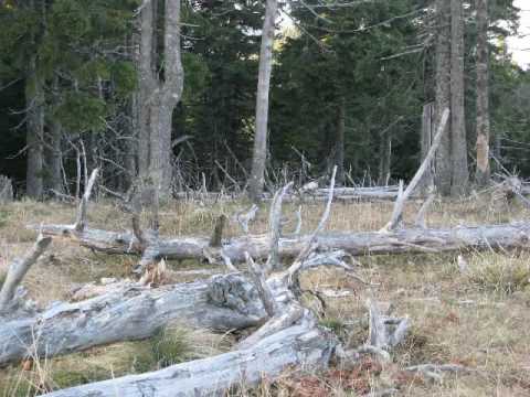 Youtube: Sear Bliss - Blood On The Milky Way