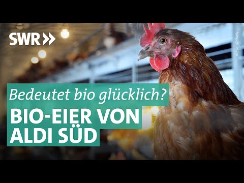 Youtube: Bioeier von ALDI Süd: Die Lüge von glücklichen Hühnern | Marktcheck SWR