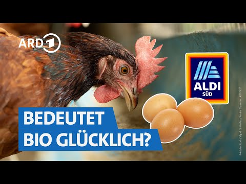 Youtube: Bioeier von ALDI Süd: Die Lüge von glücklichen Hühnern | Marktcheck SWR