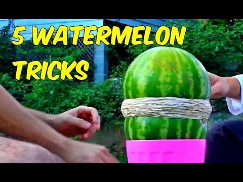 Youtube: 5 Watermelon Tricks