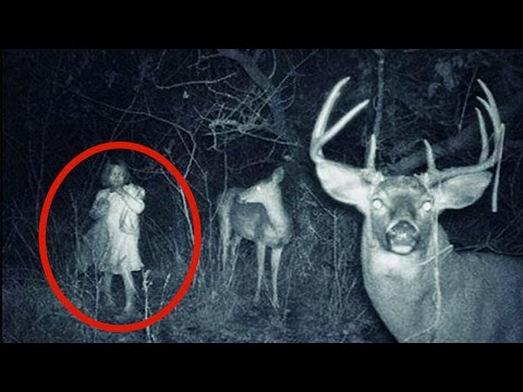 Youtube: Die 15 gruseligsten und unheimlichsten Aufnahmen von Jäger Cam's | MythenAkte