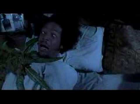 Youtube: Scary Movie II Weed