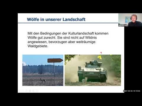Youtube: Wo der Wolf jagt wächst der Wald (Marco Heurich)