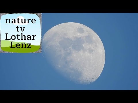 Youtube: Nikon coolpix P900 83x optical zoom world record - video test on moon