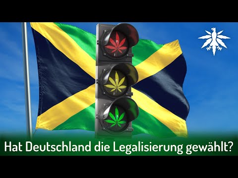 Youtube: Hat Deutschland die Legalisierung gewählt? | DHV-News # 309