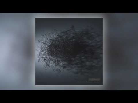 Youtube: 01 Arovane & Porya Hatami - Lifecycle [Karlrecords]