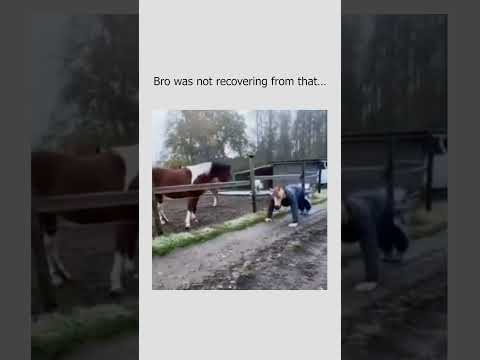 Youtube: Stay inspired — #AnimalReactions 🐴 #Unexpected 😂 #EpicMoment