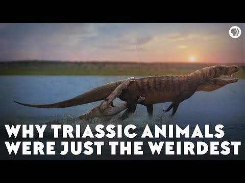 Youtube: Why Triassic Animals Were Just the Weirdest
