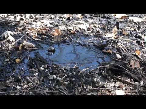 Youtube: Bubbling Tar at La Brea Tar Pits