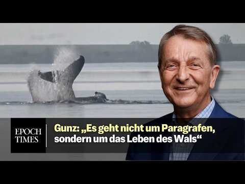 Youtube: Walter Gunz: „Wir müssen uns auf das Wesentliche konzentrieren, und das ist der Wal“
