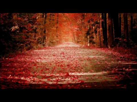 Youtube: Aphex Twin Remix -  Autumn Acid