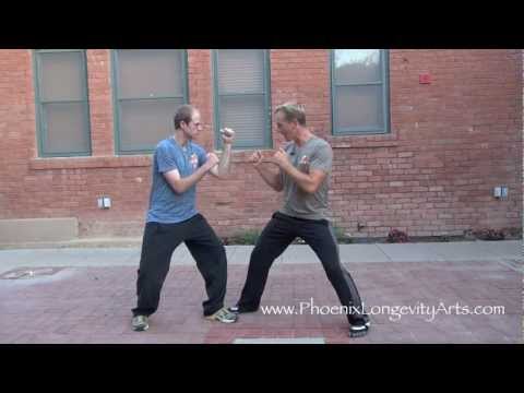 Youtube: Real Monkey Kung Fu Fight 1