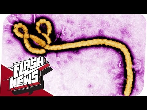 Youtube: Ebola-Virus kehrt zurück & MH370 ist abgestürzt! - FLASH NEWS