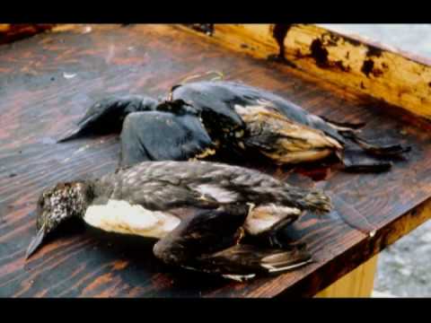 Youtube: Tar Sands and Tankers Part 3: The Exxon Valdez