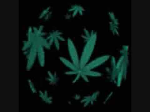 Youtube: Afroman - Because I Got High