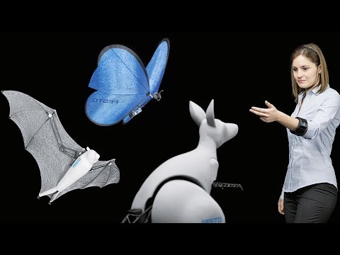 Youtube: 6 Super Cool  Robots With Artificial Intelligence From Festo Robotics.