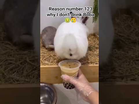 Youtube: #funny #memes #relatable #trending #shorts