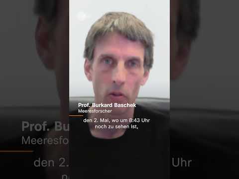 Youtube: Wie wurde Wal Timmy freigelassen? | #shorts #nachrichten #wal #timmy