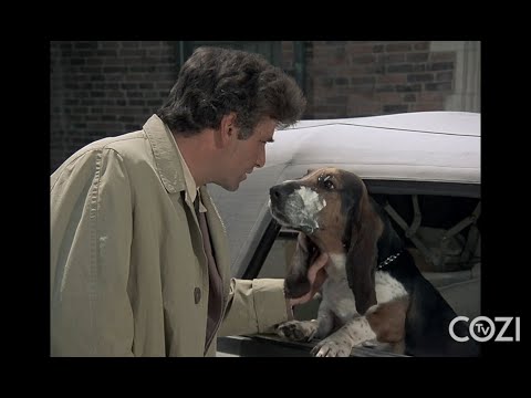 Youtube: 12 Things About "Dog" | Columbo | COZI Dozen