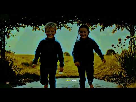 Youtube: SOLPULSE || Looking for Happiness (Lyric Visualizer)