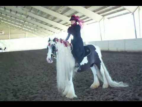 Youtube: "The Gypsy Queen", world reknown Gypsy Vanner/Gypsy Cob Mare