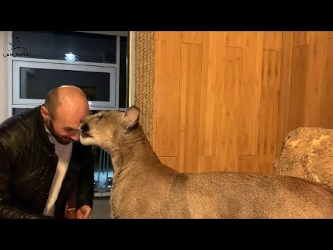 Youtube: Папа пришел! Месси встречает папу. Daddy's here! Messi meet the daddy