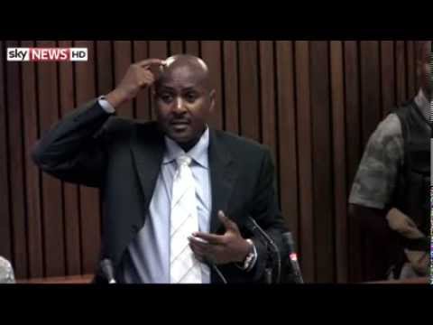 Youtube: Ballistics Expert Describes Reeva's 'Defensive Position': Day Thirteen Of Pistorius Trial