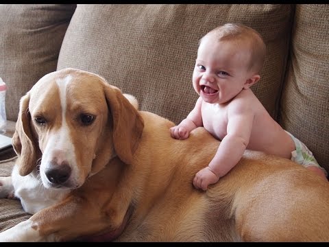 Youtube: Niedlichen Katzen Und Hunde Liebe Babys. Compilation [HD]