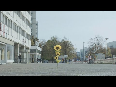 Youtube: Tiemo Hauer - Gespräche über die Vor- und Nachteile des Atmens (Official Video)