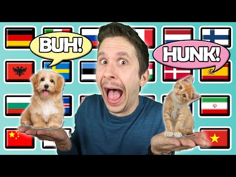 Youtube: What Do Animals Sound Like in Other Languages?