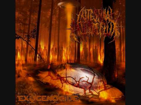 Youtube: Intestinal Alien Reflux - Unholy Creation