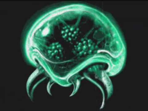Youtube: Freakmund Zoid - (Theme from Super) Metroid (Dubstep RMX)