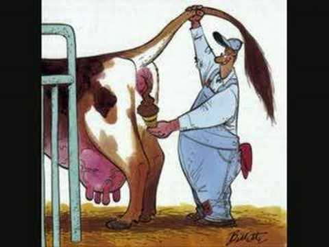 Youtube: Excrementory Grindfuckers - Das Kuh