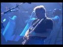Youtube: PINK FLOYD  "Coming Back To Life" (1994)