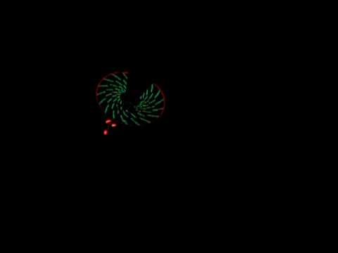 Youtube: RC Helikopter nAcht flug auf der modellbau bodensee in Friedrichshafen 09